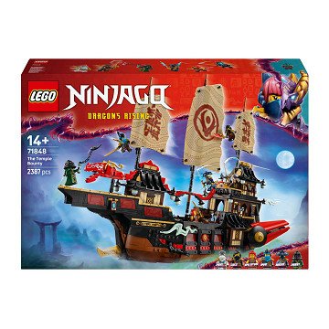 LEGO Ninjago 71848 Der Tempelsoldat