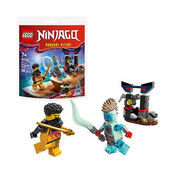 LEGO Ninjago 30700 Arin vs. Draconian