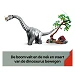 Beschrijving afbeelding
