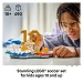 Beschrijving afbeelding