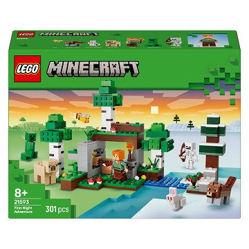 LEGO Minecraft 21593 First Night Adventure