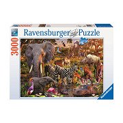Ravensburger Afrikanische Tierwelt