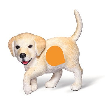 Tiptoi Golden Retriever Puppy
