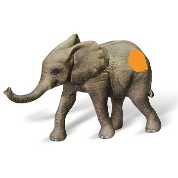 Tiptoi Afrikanisches Elefantenkalb