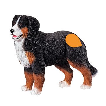 Tiptoi Bernese Mountain Dog