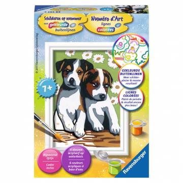 Paint by Numbers - Cute Puppies