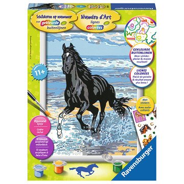 Paint by Numbers - Horse in the Surf