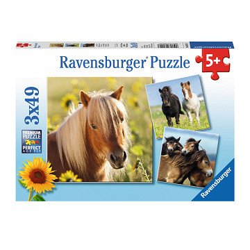 Süße Ponys, 3x49St.