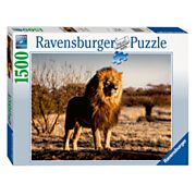 The Lion The King of the Beasts Jigsaw Puzzle, 1500 pcs.