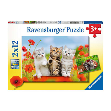 Kittens on a Journey of Discovery Jigsaw Puzzle, 2x12pcs.