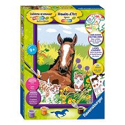 Attent ontvangen Omdat Ravensburger Painting by Numbers - Horse with Kittens | Thimble Toys