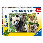 Ravensburger Puzzel Panda, Tijger en Leeuw, 3x49st.