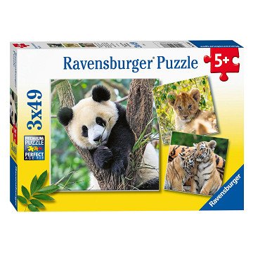 Ravensburger Puzzle Panda, Tiger and Lion, 3x49pcs.