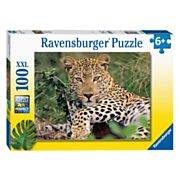 Ravensburger Puzzle Leopard, 100 Teile. XXL