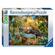 Ravensburger Puzzle Leopards in the Jungle, 1500pcs.