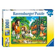 Ravensburger Puzzle Tiere sammeln, 100 Teile. XXL