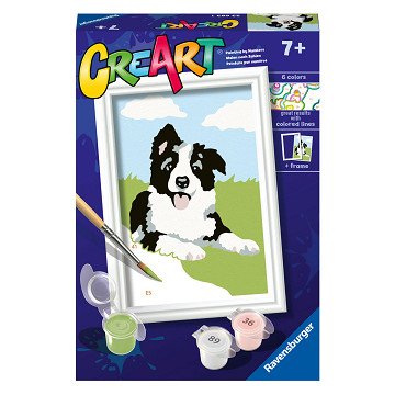 CreArt Painting by Numbers - Border Collie