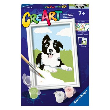 CreArt Malen nach Zahlen – Border Collie