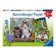 Jigsaw puzzle Young Kittens, 3x49pcs.