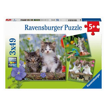 Puzzle Junge Kätzchen, 3x49tlg.