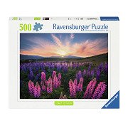 Jigsaw puzzle Lupins, 1000 pcs.