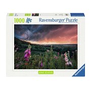 Jigsaw puzzle Ein Sturm Zieht Auf, 1000pcs.