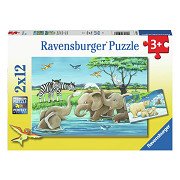 Jigsaw Puzzle Young Animals From Around the World, 2x12 pcs.