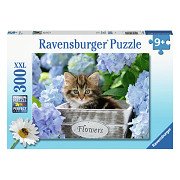 Puzzle XXL Kleines Kätzchen, 300 Teile.