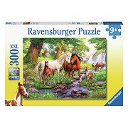 Jigsaw puzzle XXL Wild Horses Near the River, 300 pcs.