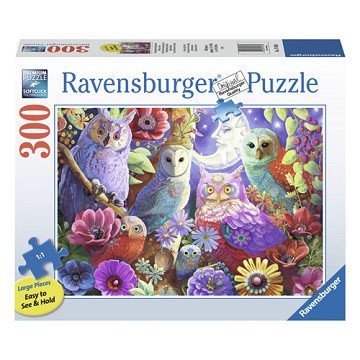 Jigsaw puzzle Beautiful Night Owls, 300 pcs.