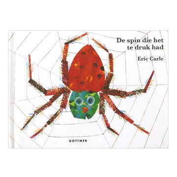 The spider who was too busy