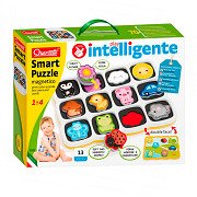 Quercetti Smart Magnet Puzzle