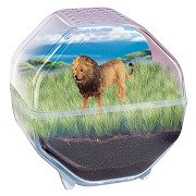 Clementoni Science & Play My Wild Terrarium - Lion