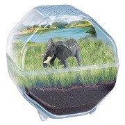 Clementoni Wetenschap & Spel My Wild Terrarium - Olifant