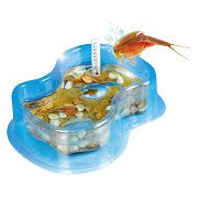 Clementoni Science & Play Grow Your Own Triops