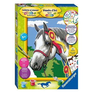 Paint by Numbers - Racehorse