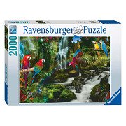 Colorful Parrots in the Jungle Jigsaw Puzzle, 2000pcs.