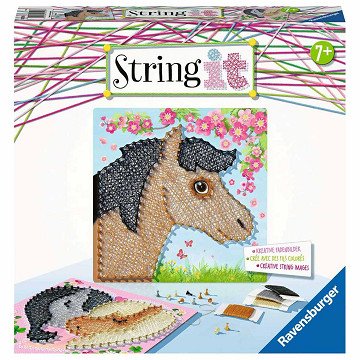 String it Midi – Pferde