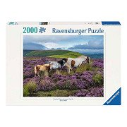 Ravensburger Legpuzzle Wildpferde im Heidekraut - 2000st.