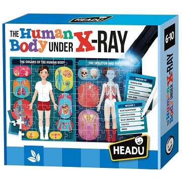 Headu The Human Body Under the X-Ray Puzzel Spel (EN)