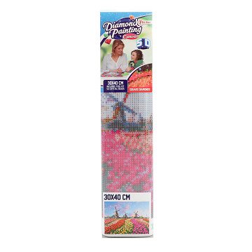 Diamond Painting Tulip Fields, 30x40cm