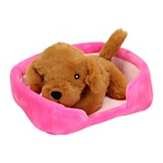 Plush Dog in Basket