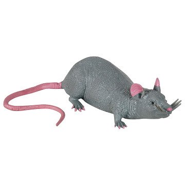 Stretch-Ratte groß