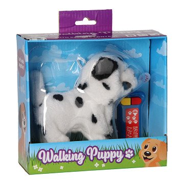 Spaziergang mit dem Welpen