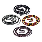 Coiled Toy Snake, 20cm