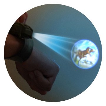 Dino Projection Watch, 24 images