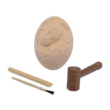 Carve Dino Egg Fossil