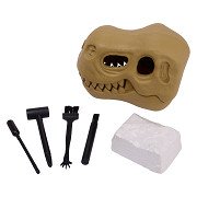 Dino Skull with Fossil Carving Set