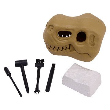 Dino Skull with Fossil Carving Set