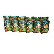 Dschungel-Multipack – Knete, Schleim & Quetschgummi
